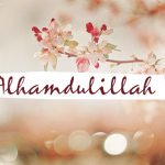 Kumpulan Kata Kata Mutiara Islami tentang Kehidupan