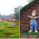 Ke Jogja? Manjakan Mata di Wisata Alamanda Jogja Flower Garden yang Instagrammable!