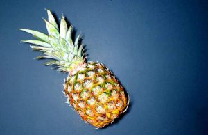 8 Manfaat Buah Nanas Bagi Kesehatan Yang Jarang Orang Tahu