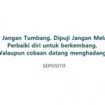 40 Kata Kata Ingin Berkembang Menjadi Lebih Baik Lagi