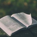 7 Cara Praktis Merawat Buku Agar Awet dan Bertahan Lama