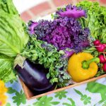 5 Cara Memulai Usaha Budidaya Sayur Organik yang Sedang Tren Saat ini