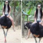 Kok Bisa Gitu? 10 Foto Hewan yang Diambil Pada Momen yang Tepat