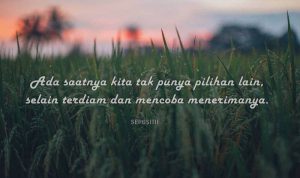 Kata Kata Ada Saatnya Kita Menyerah dan Berhenti Berharap Dalam Diam