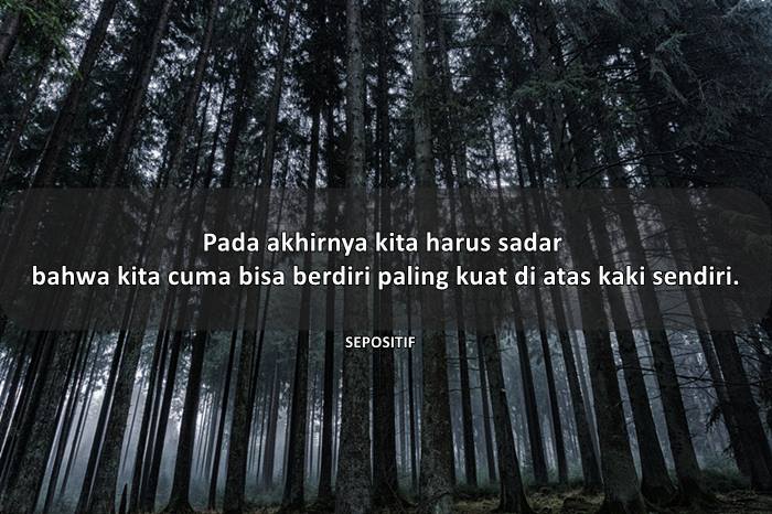 50 Kata Kata Harus Bisa Berdiri Sendiri (Harus Mandiri)