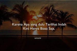 50 Kata Kata Bersikap Biasa Saja