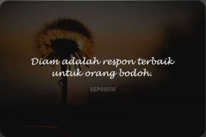 50 Kata Kata Bodoh Yang Bijak Tentang Kehidupan