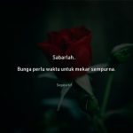 50 Kata Kata Bunga yang Mekar dan Layu Pada Waktunya
