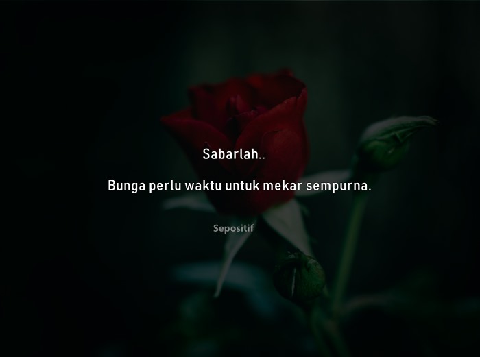 50 Kata Kata Bunga yang Mekar dan Layu Pada Waktunya
