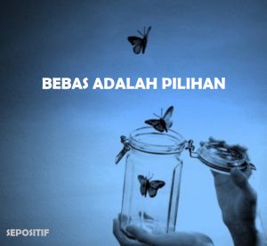 30 Kata Kata Bijak Meraih Kebebasan dalam Hidup