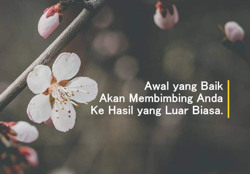 50 Kata Kata Menjadi Luar Biasa Tentang Kehidupan