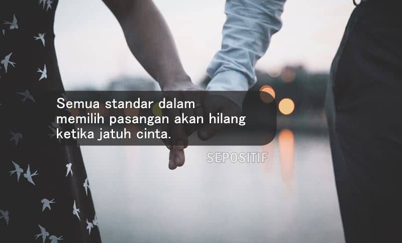 50 Kata Kata Mencari dan Memilih Pasangan Hidup Terbaik