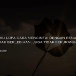 50 Kata Kata Jangan Mencintai Seseorang Secara Berlebihan dan Terlalu Dalam