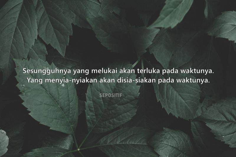 50 Kata Kata Jangan Menyia-Nyiakan Seseorang yang Tulus Mencintaimu