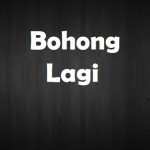 30 Kata Kata Sindiran Untuk Orang Pembohong