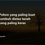 50 Kata Kata Tumbuh Dewasa Besar dan Berkembang
