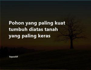 50 Kata Kata Tumbuh Dewasa Besar dan Berkembang