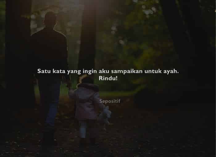 50 Kata Kata untuk Ayah