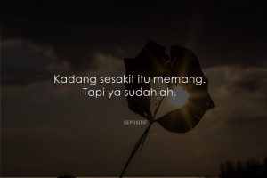 50 Kata Kata Sudahlah Abaikan dan Lupakan Saja
