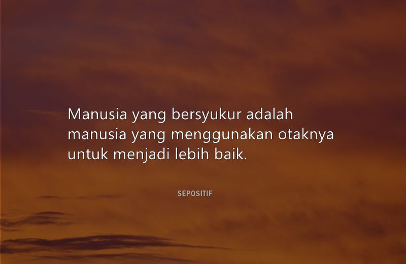 60 Kata Kata Manusia Bodoh dan Munafik Terbaik
