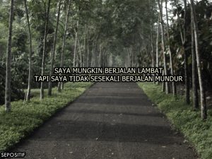 30 Kata Kata Bijak Inspiratif dan Motivasi sebagai Renungan Hidup