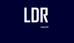 30 Kata Kata Hubungan Jarak Jauh LDR Terbaik