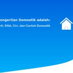 Pengertian Domestik adalah:  Arti