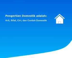 Pengertian Domestik adalah:  Arti