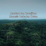 Manfaat Hutan dan Kewajiban Manusia Terhadap Hutan