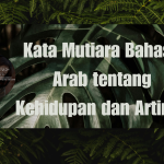 Kata Mutiara Bahasa Arab tentang Kehidupan dan Artinya