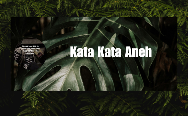 Kata Kata Aneh