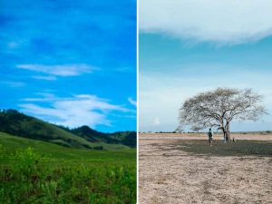 6 Padang Savana di Jawa dengan Panorama Terindah