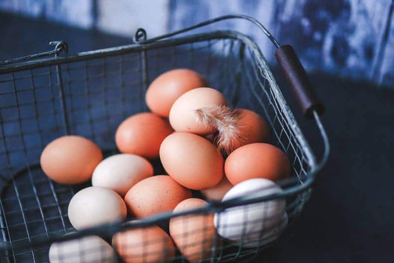 7 Cara Bisnis Telur Ayam untuk Pemula sampai Meraup Untung yang Besar