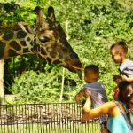 6 Manfaat Berwisata di Kebun Binatang Bersama Keluarga