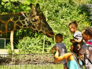 6 Manfaat Berwisata di Kebun Binatang Bersama Keluarga