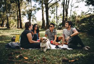10 Tips Piknik Seru Bareng Keluarga yang Simple