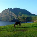 10 Tips Liburan Ke Pulau Jeju Korea Selatan yang Menyenangkan
