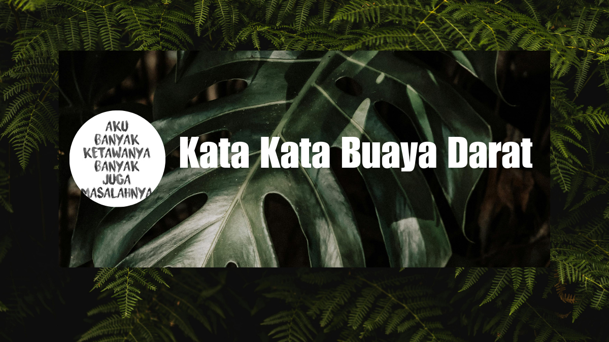 Kata Kata Buaya