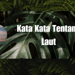 Kata Kata Tentang Laut