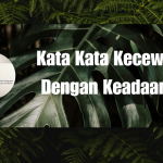 Kata Kata Kecewa Dengan Keadaan