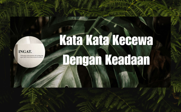 Kata Kata Kecewa Dengan Keadaan