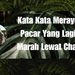 Kata Kata Merayu Pacar Yang Lagi Marah Lewat Chat