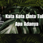 Kata Kata Cinta Tulus Apa Adanya