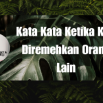 Kata Kata Ketika Kita Diremehkan Orang Lain