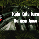 Kata Kata Lucu Bahasa Jawa