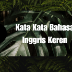 Kata Kata Bahasa Inggris Keren