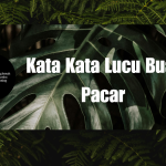 Kata Kata Lucu Buat Pacar