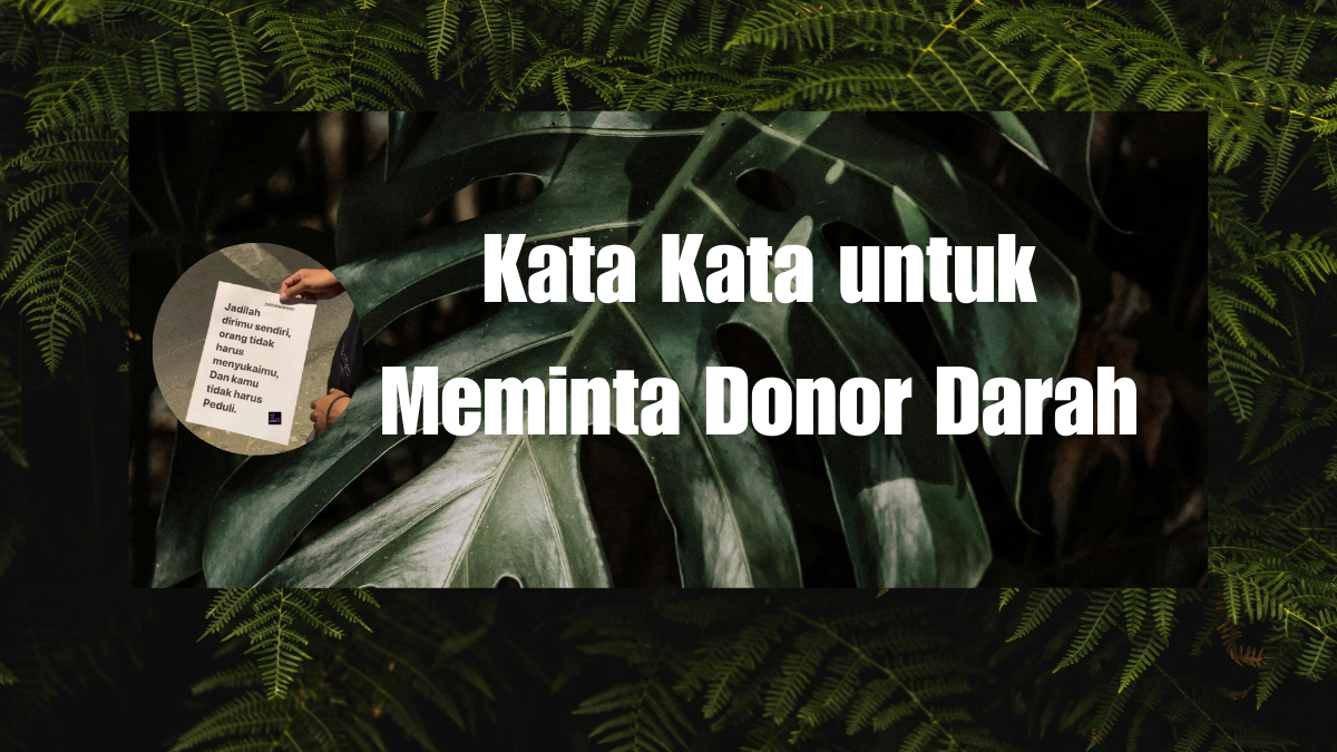 Kata Kata untuk Meminta Donor Darah