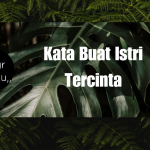 Kata Buat Istri Tercinta