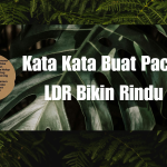 Kata Kata Buat Pacar LDR Bikin Rindu